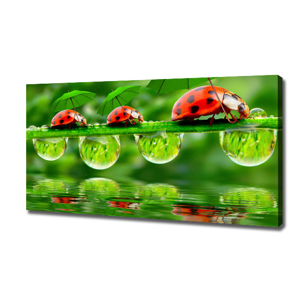 Cuadro canvas con impresión uv duradera horizontal Paraguas de mariquita