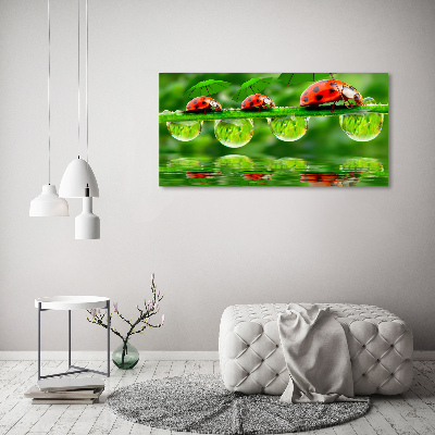 Cuadro canvas con impresión uv duradera horizontal Paraguas de mariquita