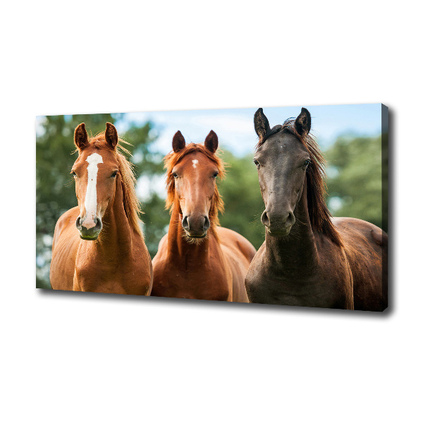 Cuadro canvas moderno de gran formato horizontal Tres caballos