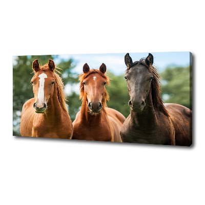 Cuadro canvas moderno de gran formato horizontal Tres caballos