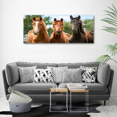 Cuadro canvas moderno de gran formato horizontal Tres caballos