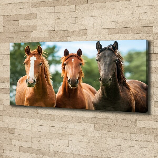 Cuadro canvas moderno de gran formato horizontal Tres caballos