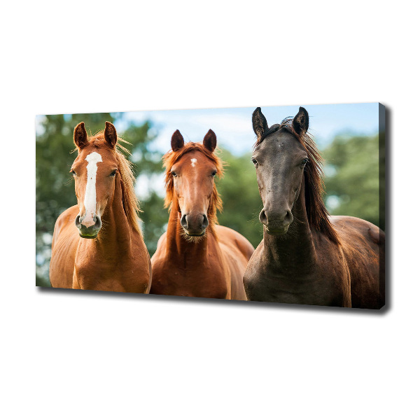 Cuadro canvas moderno de gran formato horizontal Tres caballos