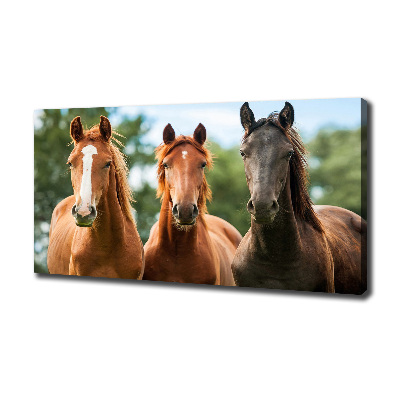 Cuadro canvas moderno de gran formato horizontal Tres caballos