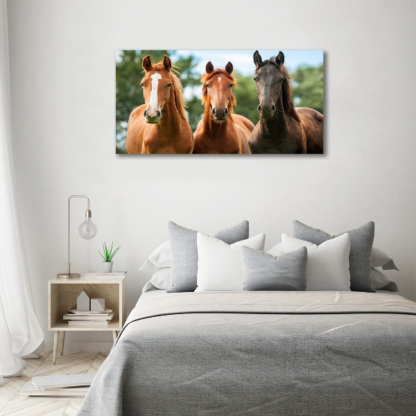 Cuadro canvas moderno de gran formato horizontal Tres caballos