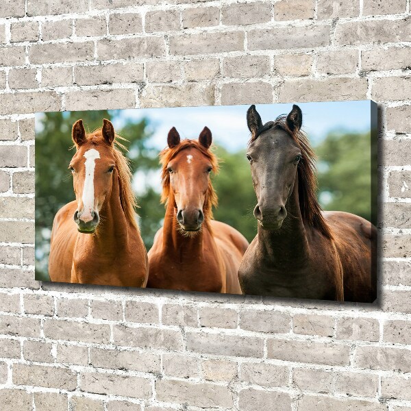 Cuadro canvas moderno de gran formato horizontal Tres caballos