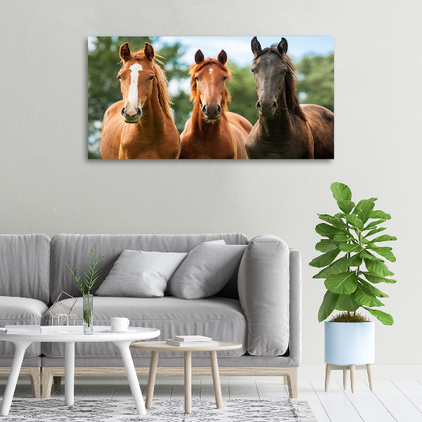 Cuadro canvas moderno de gran formato horizontal Tres caballos