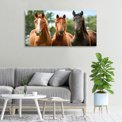 Cuadro canvas moderno de gran formato horizontal Tres caballos