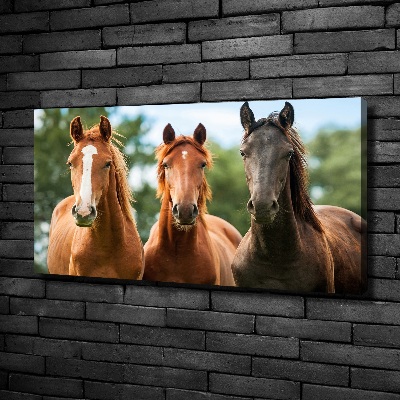 Cuadro canvas moderno de gran formato horizontal Tres caballos