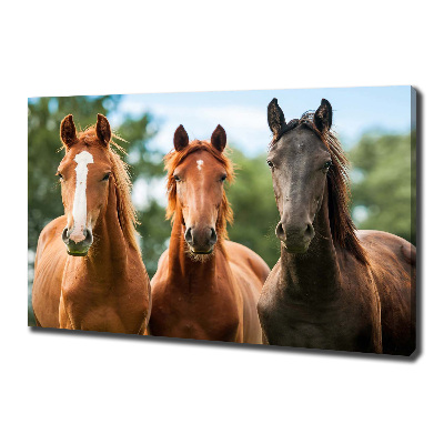 Cuadro canvas moderno de gran formato horizontal Tres caballos