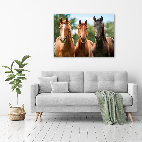 Cuadro canvas moderno de gran formato horizontal Tres caballos