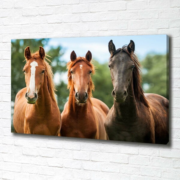 Cuadro canvas moderno de gran formato horizontal Tres caballos