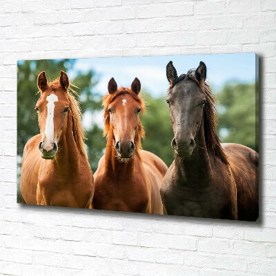 Cuadro canvas moderno de gran formato horizontal Tres caballos