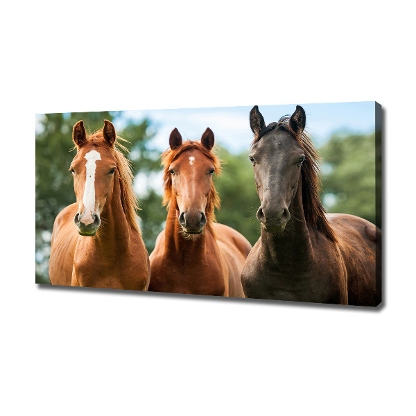 Cuadro canvas moderno de gran formato horizontal Tres caballos