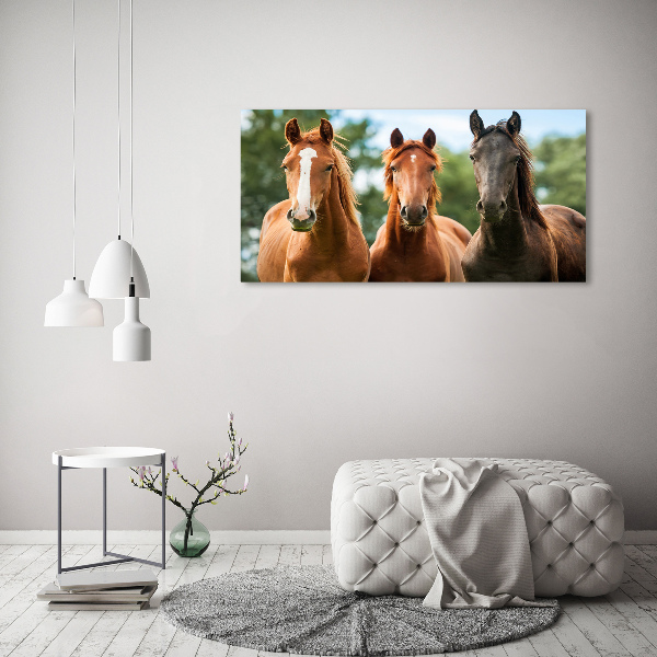 Cuadro canvas moderno de gran formato horizontal Tres caballos