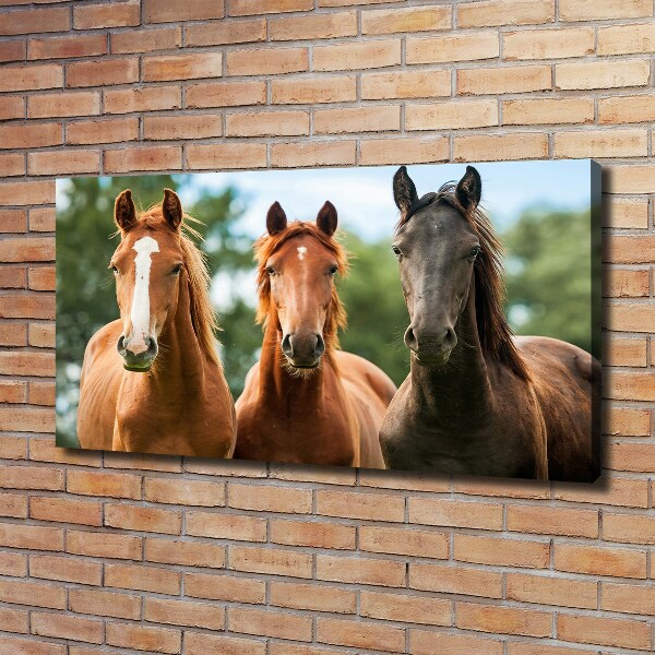 Cuadro canvas moderno de gran formato horizontal Tres caballos