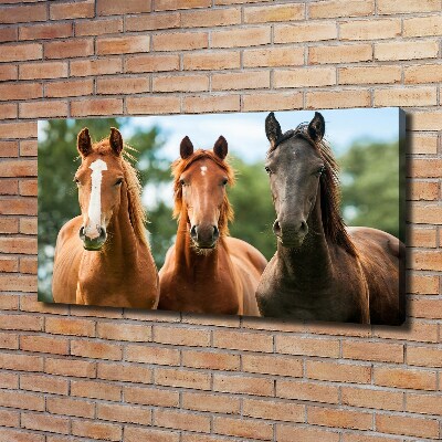 Cuadro canvas moderno de gran formato horizontal Tres caballos