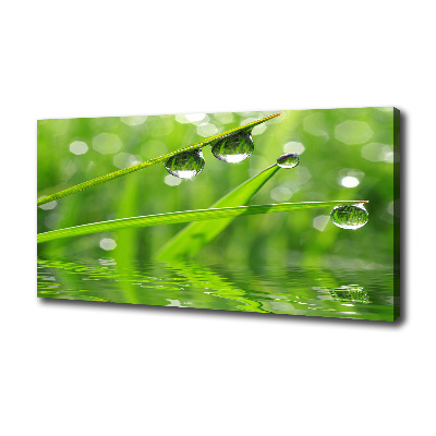 Foto en lienzo con acabado profesional horizontal Gotas sobre la hierba