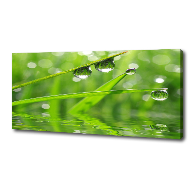 Foto en lienzo con acabado profesional horizontal Gotas sobre la hierba