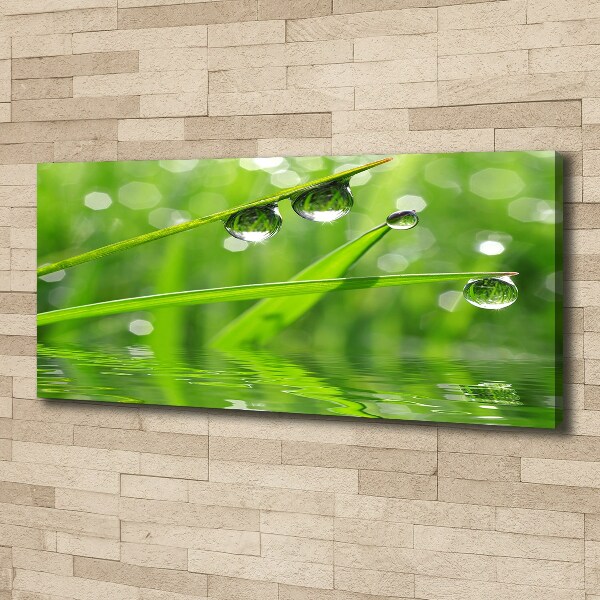 Foto en lienzo con acabado profesional horizontal Gotas sobre la hierba