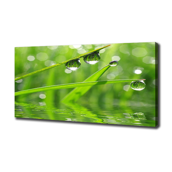 Foto en lienzo con acabado profesional horizontal Gotas sobre la hierba