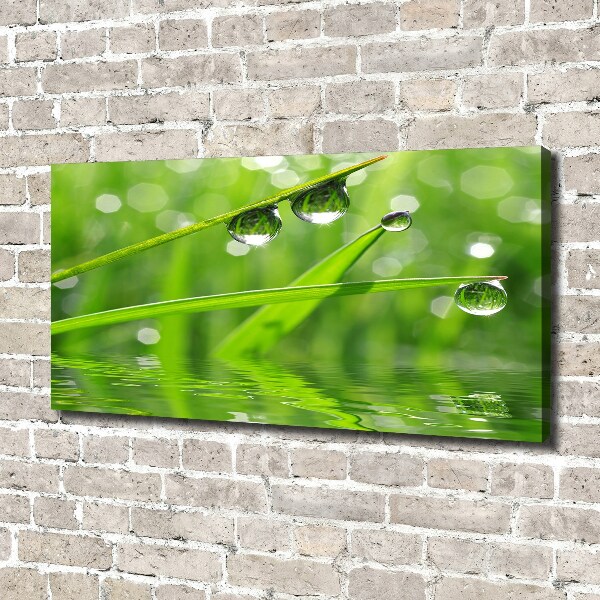 Foto en lienzo con acabado profesional horizontal Gotas sobre la hierba