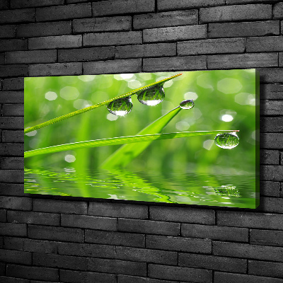 Foto en lienzo con acabado profesional horizontal Gotas sobre la hierba