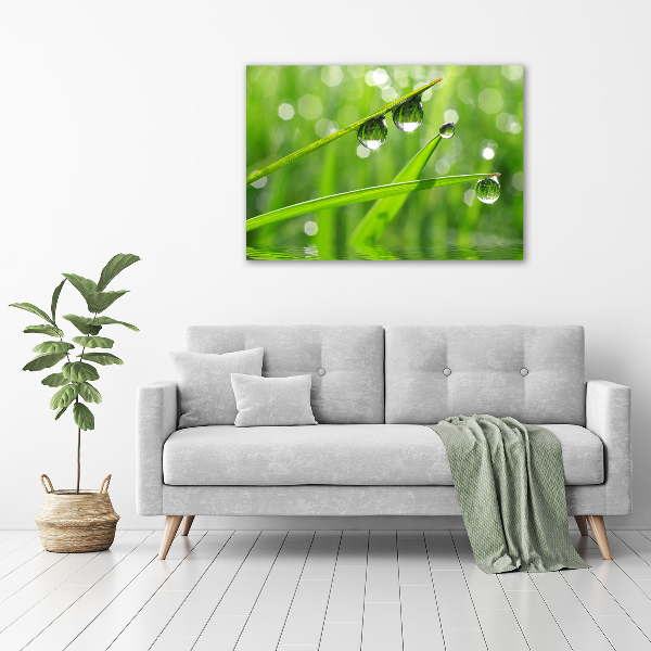 Foto en lienzo con acabado profesional horizontal Gotas sobre la hierba