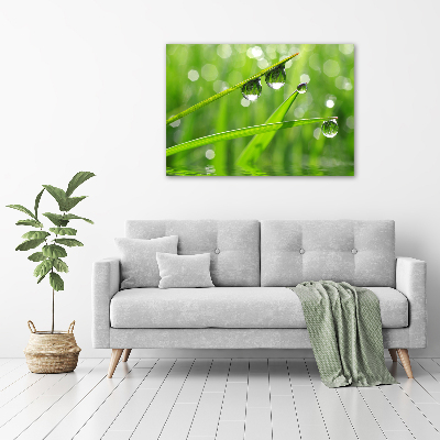 Foto en lienzo con acabado profesional horizontal Gotas sobre la hierba