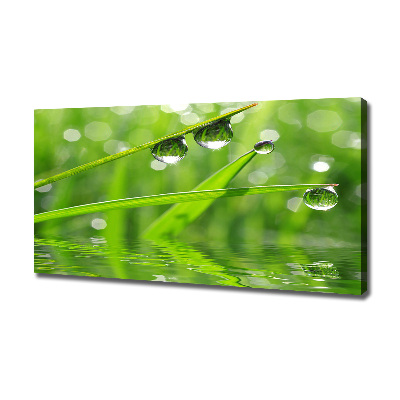 Foto en lienzo con acabado profesional horizontal Gotas sobre la hierba
