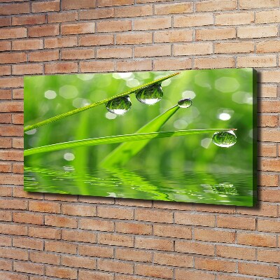 Foto en lienzo con acabado profesional horizontal Gotas sobre la hierba