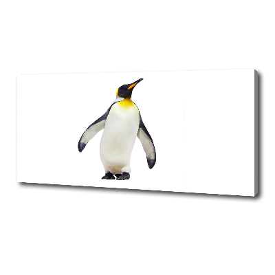 Fotocuadro en lienzo de alta calidad horizontal Pingüino