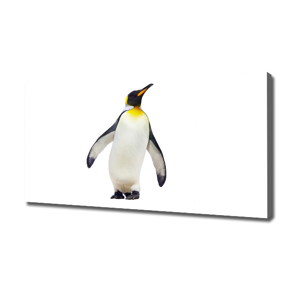 Fotocuadro en lienzo de alta calidad horizontal Pingüino