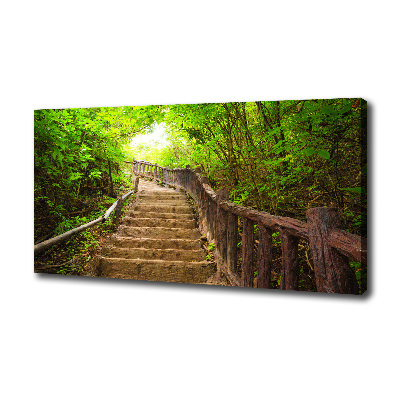 Cuadro canvas con impresión uv duradera horizontal Escaleras en el bosque