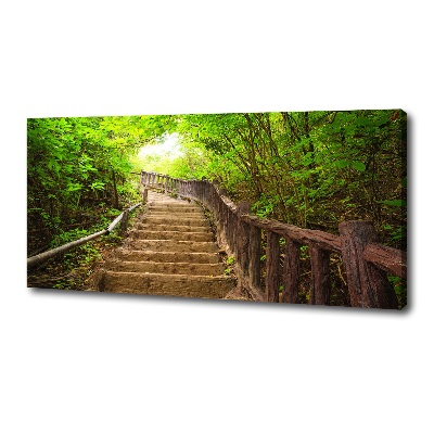 Cuadro canvas con impresión uv duradera horizontal Escaleras en el bosque
