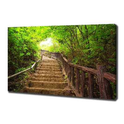 Cuadro canvas con impresión uv duradera horizontal Escaleras en el bosque