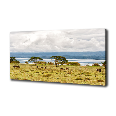 Cuadro canvas con impresión uv duradera horizontal Lago Naivasha