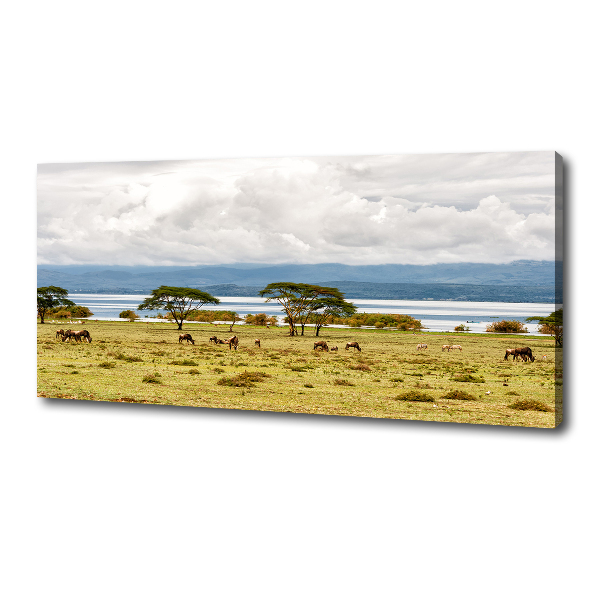 Cuadro canvas con impresión uv duradera horizontal Lago Naivasha