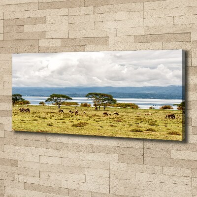 Cuadro canvas con impresión uv duradera horizontal Lago Naivasha