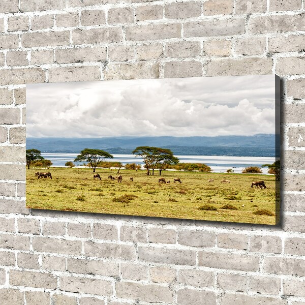Cuadro canvas con impresión uv duradera horizontal Lago Naivasha