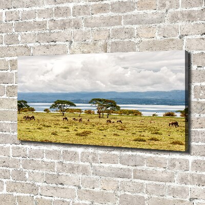 Cuadro canvas con impresión uv duradera horizontal Lago Naivasha
