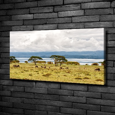Cuadro canvas con impresión uv duradera horizontal Lago Naivasha
