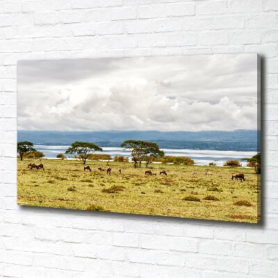 Cuadro canvas con impresión uv duradera horizontal Lago Naivasha