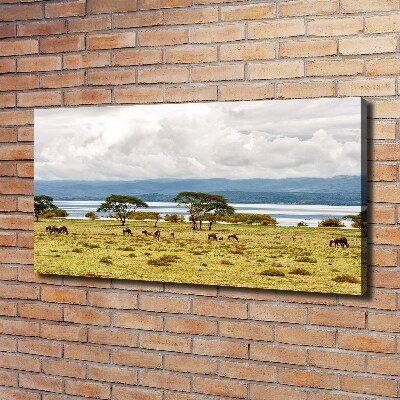 Cuadro canvas con impresión uv duradera horizontal Lago Naivasha