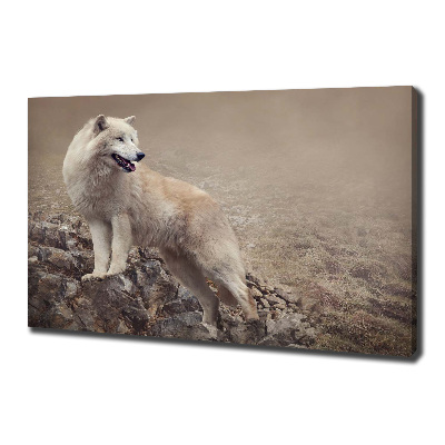 Cuadro canvas moderno de gran formato horizontal Lobo blanco en una roca