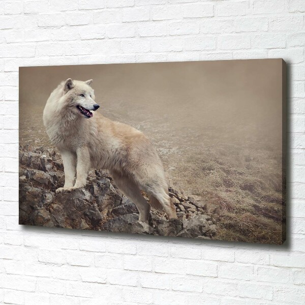 Cuadro canvas moderno de gran formato horizontal Lobo blanco en una roca