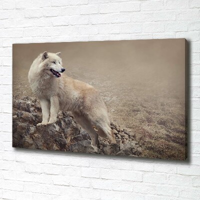 Cuadro canvas moderno de gran formato horizontal Lobo blanco en una roca