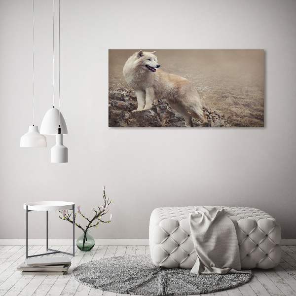 Cuadro canvas moderno de gran formato horizontal Lobo blanco en una roca