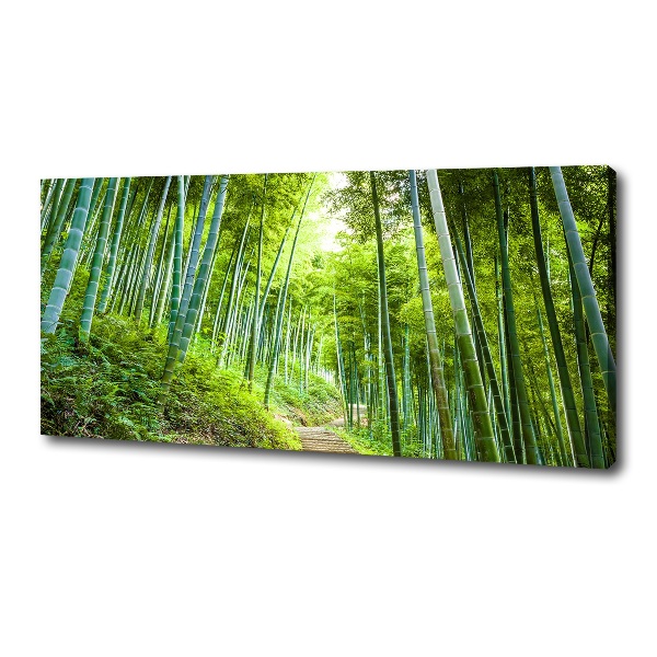 Foto en lienzo con acabado profesional horizontal bosque de bambú