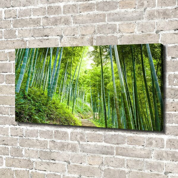 Foto en lienzo con acabado profesional horizontal bosque de bambú